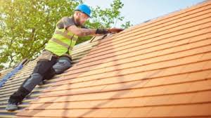 Best Roof Maintenance and Cleaning  in Rocky Mount, VA