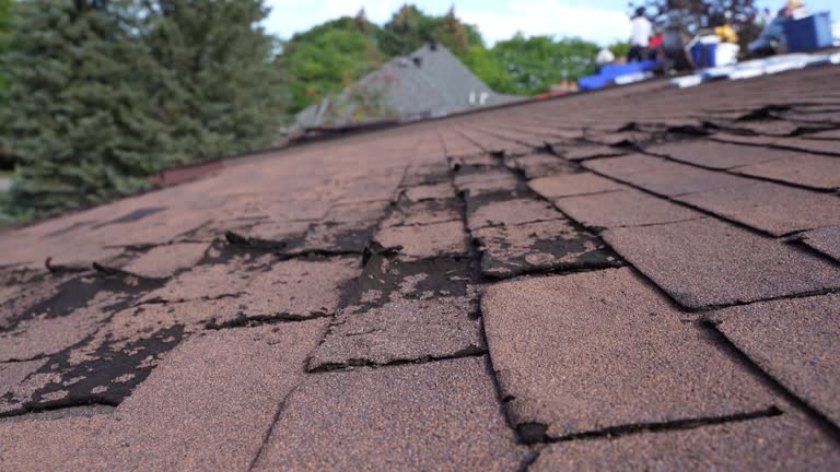 Best Roofing for New Construction  in Rocky Mount, VA