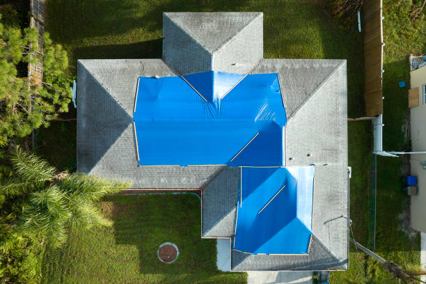 Best Roof Ventilation Installation  in Rocky Mount, VA