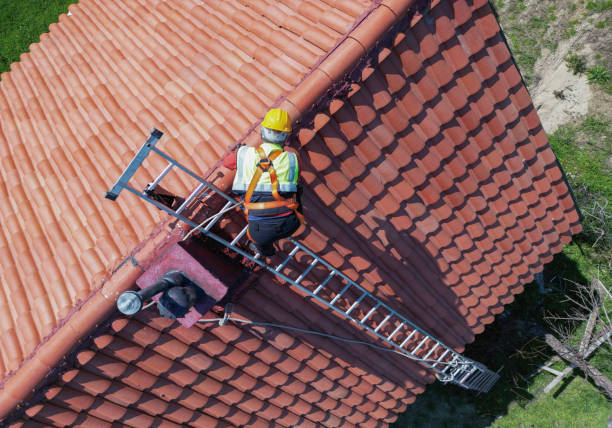 Best Gutter Installation and Repair  in Rocky Mount, VA